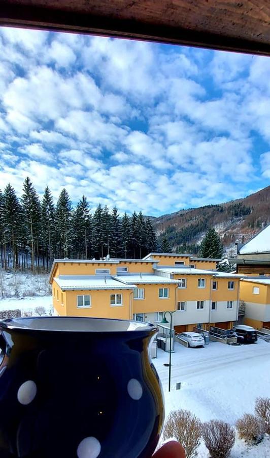 Ferienwohnung Bergspass Gaming Buitenkant foto