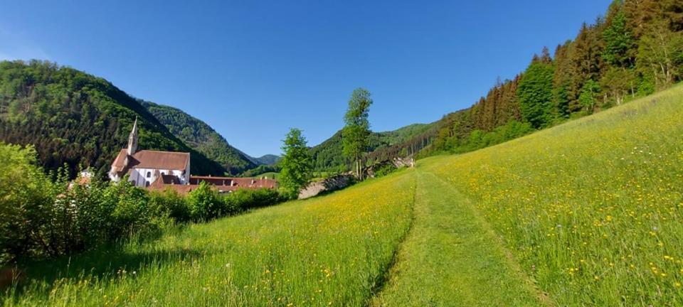 Ferienwohnung Bergspass Gaming Buitenkant foto