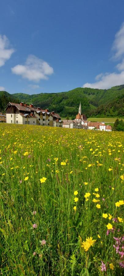 Ferienwohnung Bergspass Gaming Buitenkant foto